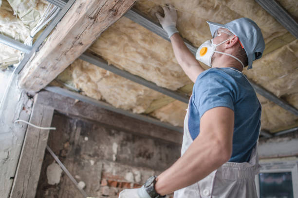Best DIY Insulation Kits and Guidance in Taft Mosswood, CA
