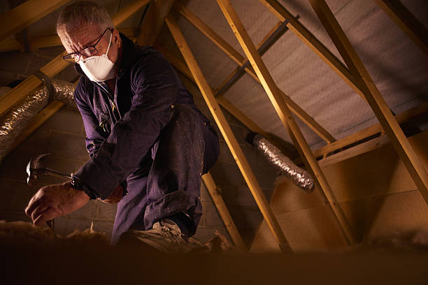 Types of Insulation We Offer in Taft Mosswood, CA